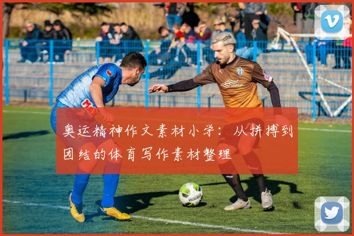 奥运精神作文素材小学:从拼搏到团结的体育写作素材整理