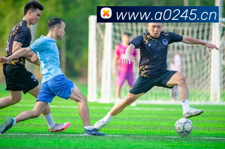 多媒体互动体验